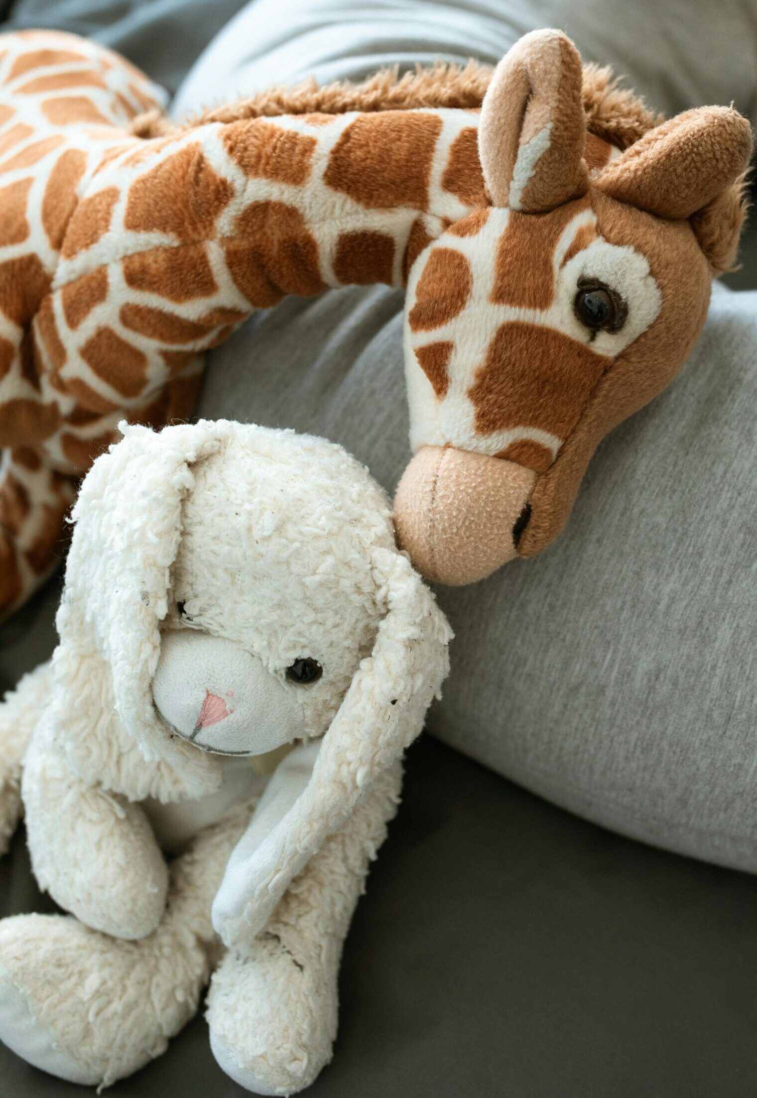 輔導服務 Counselling Services